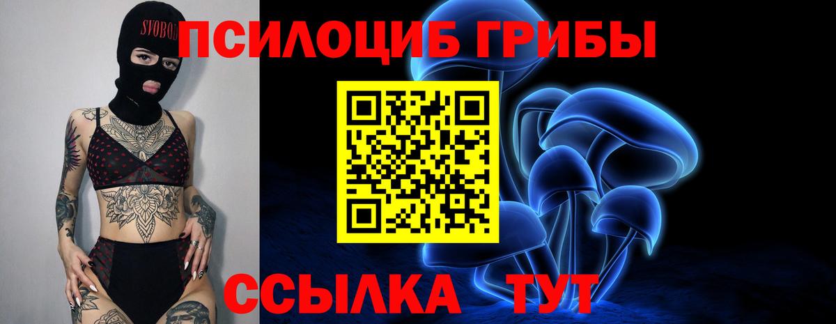 Белореченск  Галлюциногенные грибы GOLDEN TEACHER  Вход с VPN 